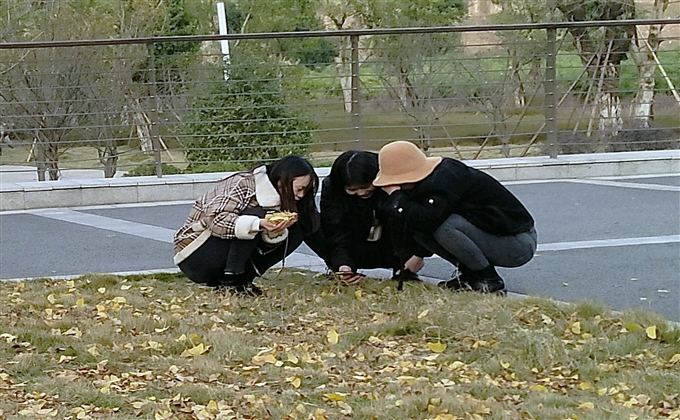 细致入微---何建民