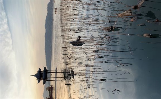 水光潋滟晴方好，山色空蒙雨亦奇