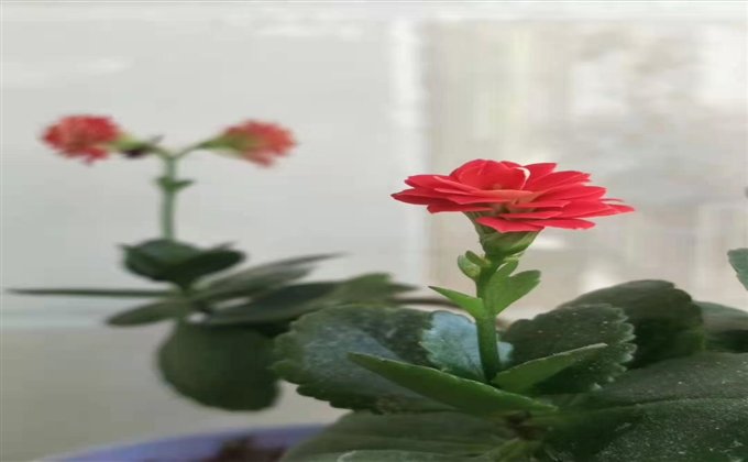春暖花开