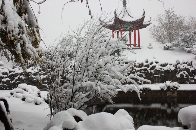 雪中的趣园