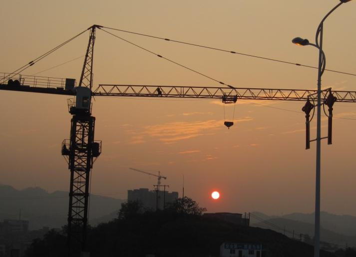 夕阳红