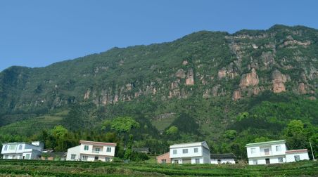丹山掠影（李洪军摄影作品）