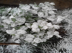 天山景观之五月雪  班红卫摄影作品