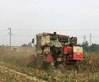 收获的季节 吴鹏程摄影作品