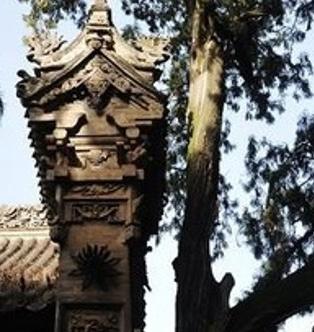 仓颉古松  王文礼摄影作品