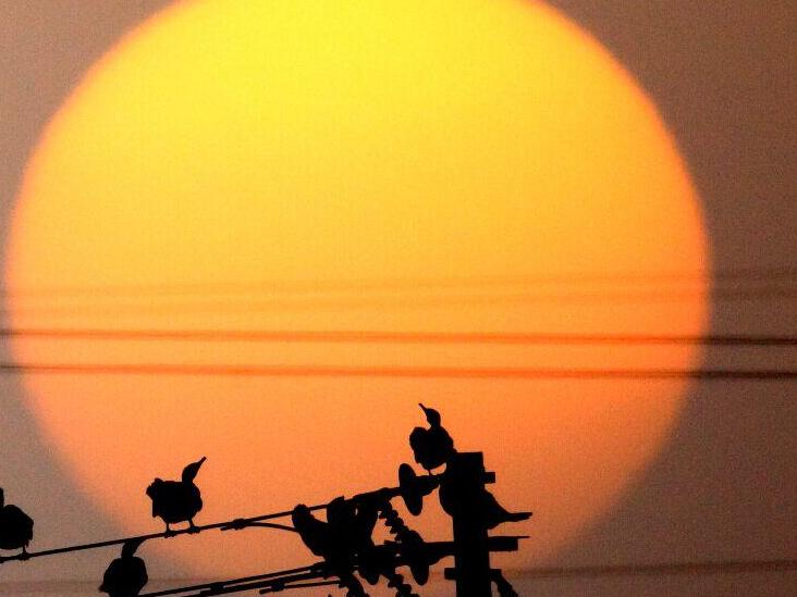 夕阳 沈虹摄影作品
