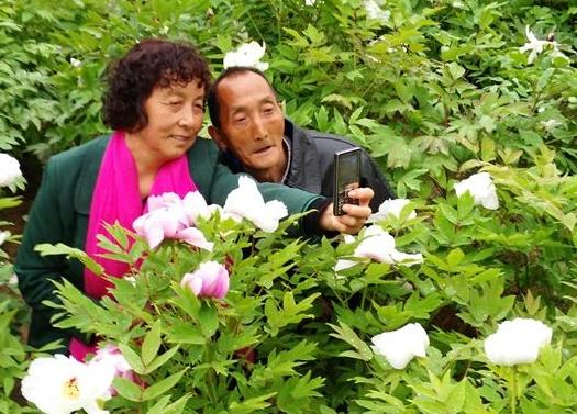 幸福向花儿 刘晓侠摄影作品