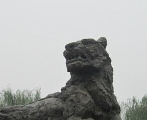 诩诩如生 陈小艳摄影作品