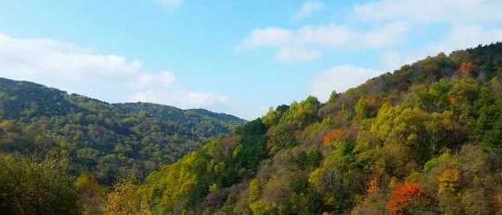 黄龙山秋景