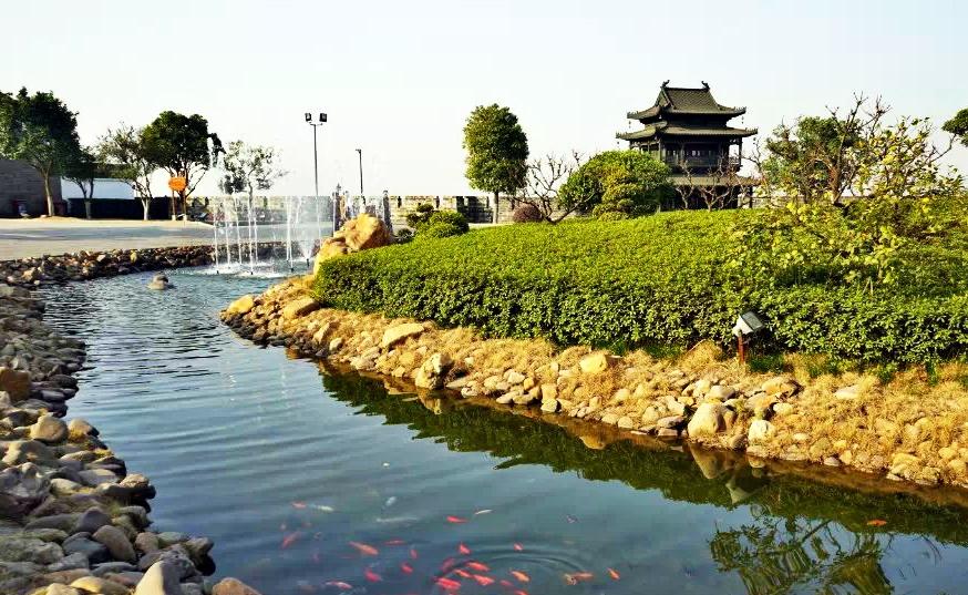 鱼群