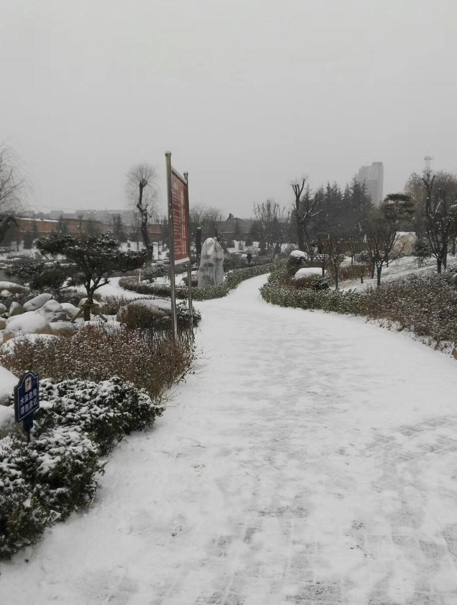 美丽雪景