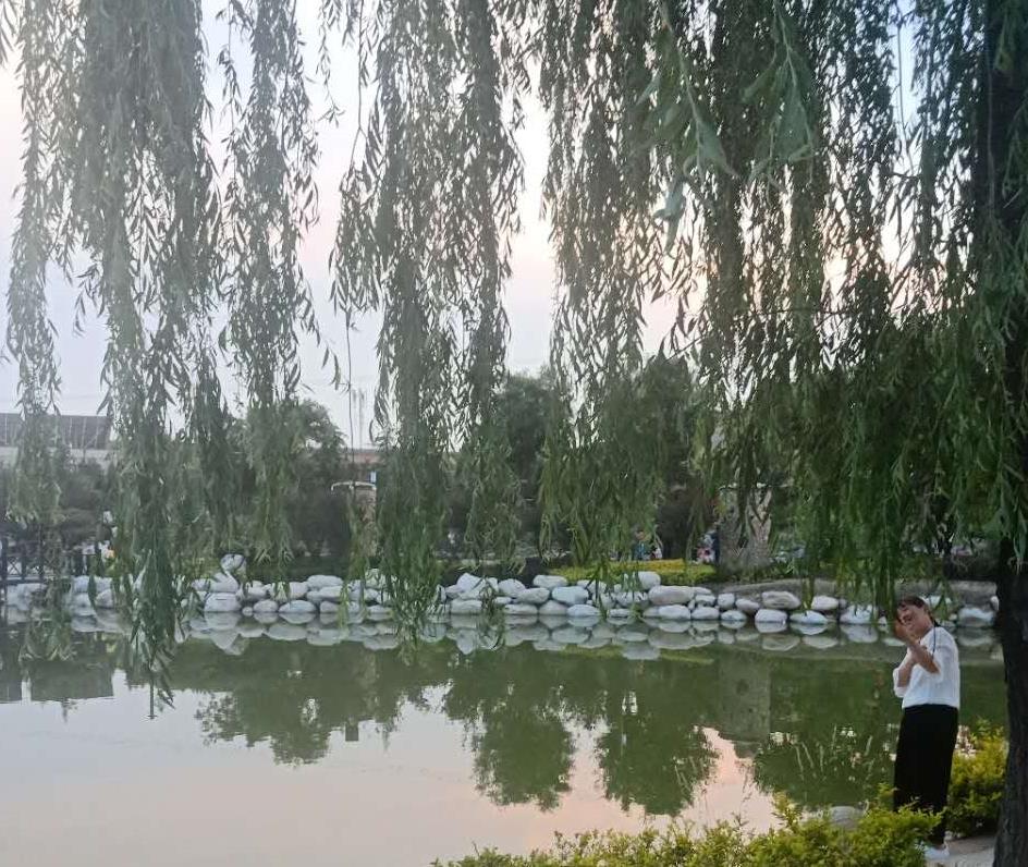 公园湖景-张福乐